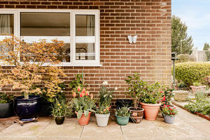 Photo 14- click for photo gallery